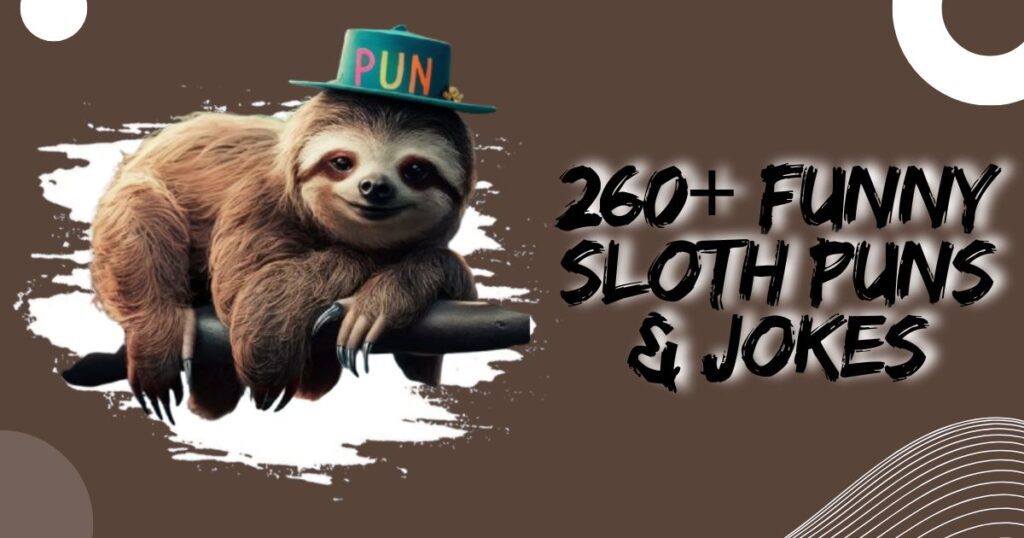 260+ Funny Sloth Puns & Jokes