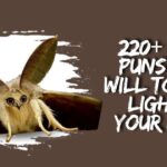 220+ Moth Puns That Will Totally Light Up Your Night
