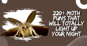 220+ Moth Puns That Will Totally Light Up Your Night