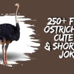 250+ Funny Ostrich Puns – Cute Dirty & Short Bird Jokes