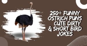 250+ Funny Ostrich Puns – Cute Dirty & Short Bird Jokes