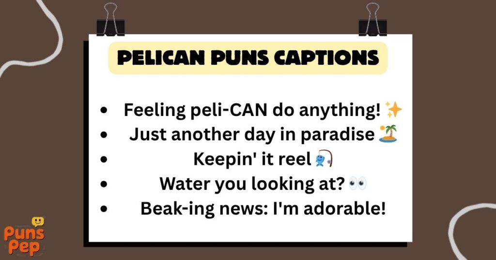 Pelican Puns Captions