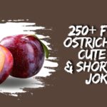 340+ Clever and Funny Plum Puns That Will Brighten Your Day