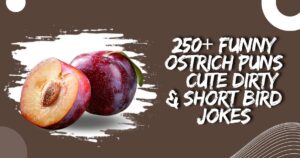 340+ Clever and Funny Plum Puns That Will Brighten Your Day