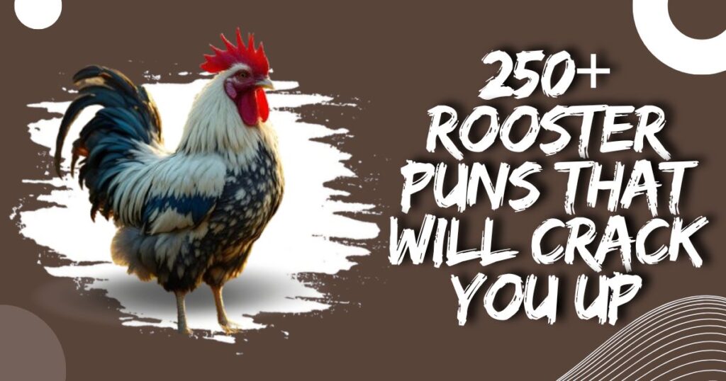 250+ Rooster Puns That will Crack You Up (Cock-a-doodle-lol!)