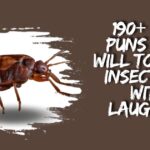 190+ Bug Puns That will Totally Insect You With Laughter