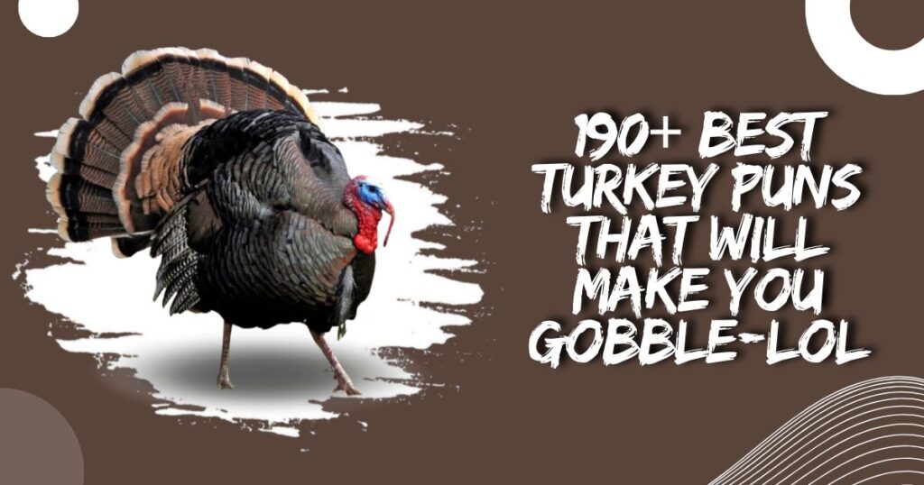 Turkey Puns