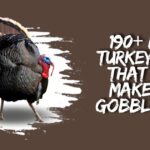190+ Best Turkey Puns That will Make You Gobble-LOL