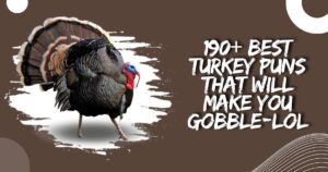 Turkey Puns
