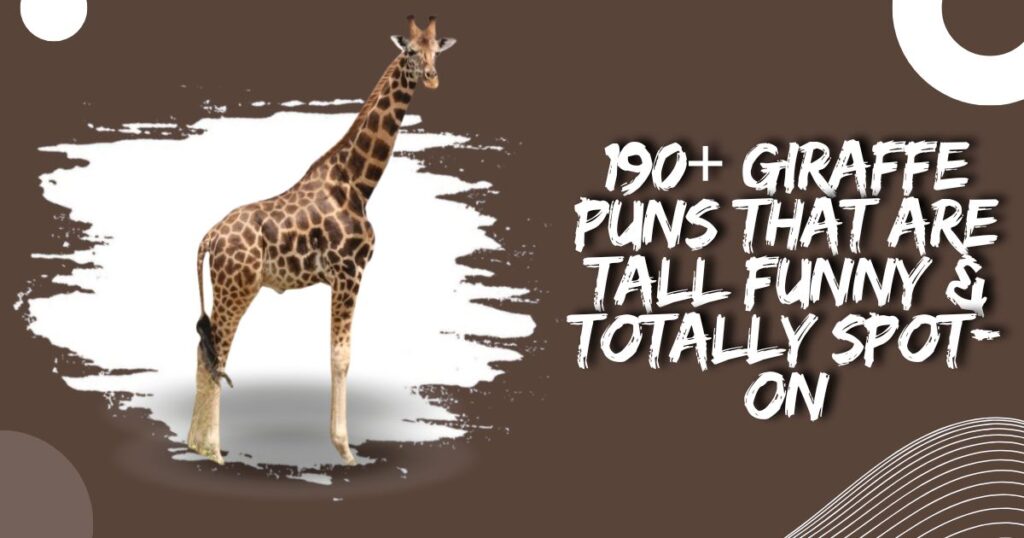 190+ Giraffe Puns That Are Tall Funny & Totally Spot-On
